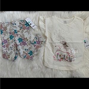 Carter’s toddler girl tee and Leggings Set size 3T